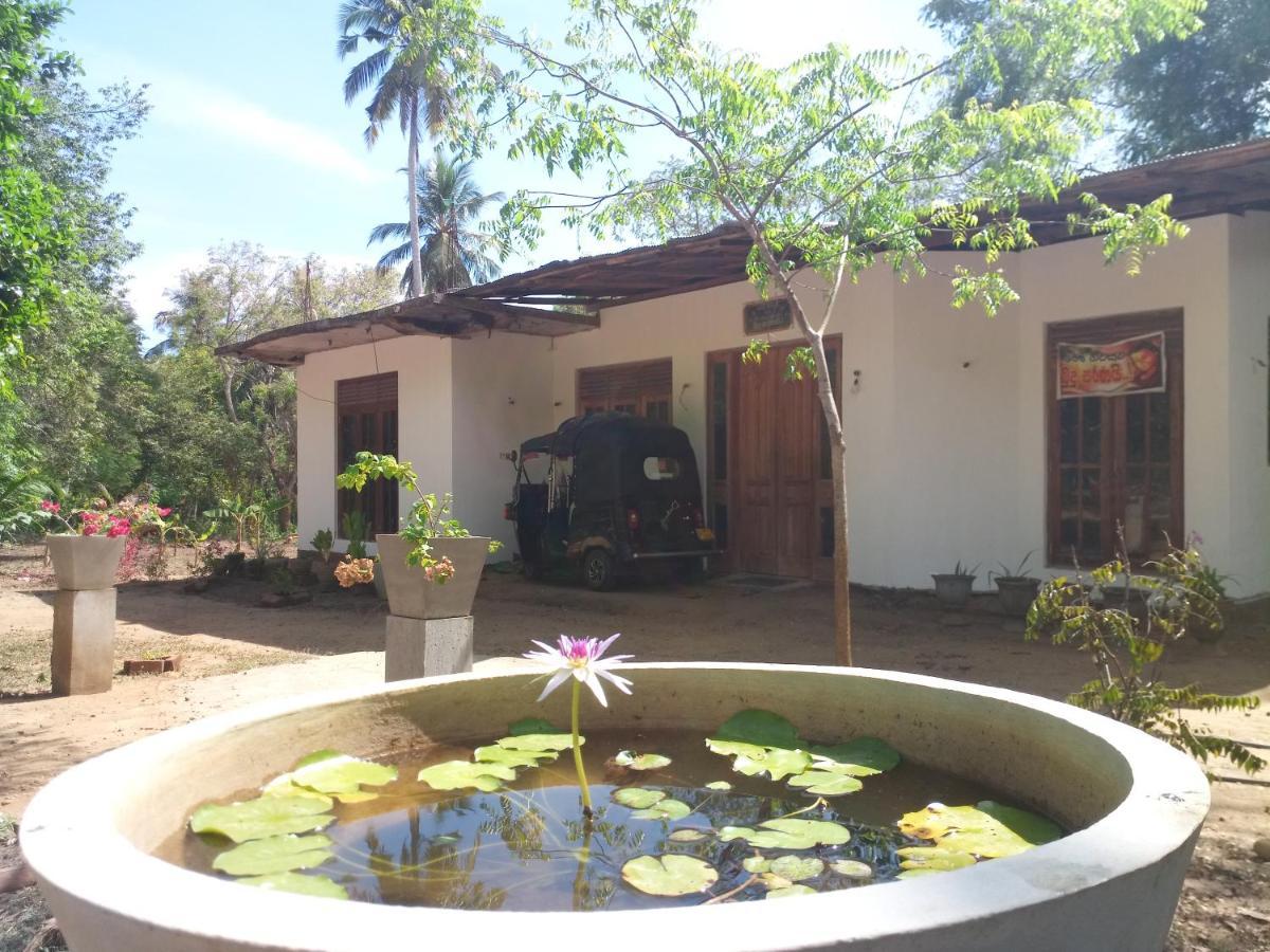 Silent Peacock Villa And Peacock Cafe Tangalle Dış mekan fotoğraf